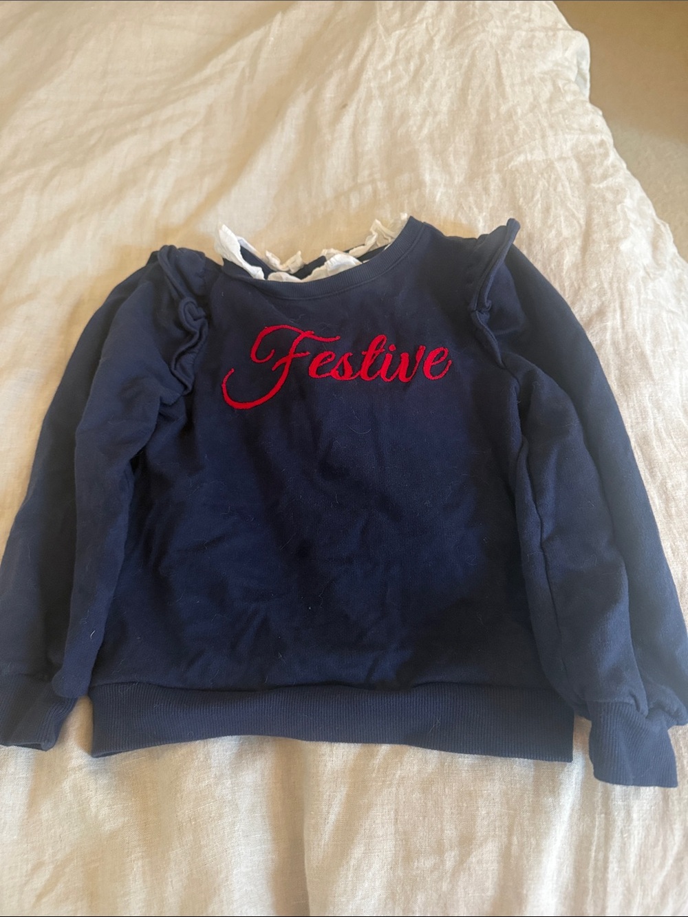 Janie and Jack Navy Sweatshirt with Red 'Festive' Embroidery
